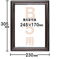 アートプリントジャパン B5額金ラック 1枚（わけあり品）