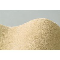 スミノエ BIGSIZERUG 防炎・消臭 ラグ スミトロンニューサキソニー 2000×2500mm ベージュ 1枚（直送品）