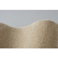 スミノエ BIGSIZERUG 防炎・消臭 ラグ スミトロンニューサキソニー 2000×2000mm グレー 1枚（直送品）