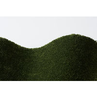 スミノエ BIGSIZERUG 防炎・消臭 ラグ スミトロンニューサキソニー 1000×1400mm グリーン 1枚（直送品）