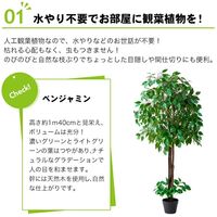 ファミリー・ライフ 人工観葉植物 ベンジャミン&幸福の木 インテリアグリーン 0396510 1セット(2本入)