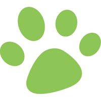 カール事務器 ミニクラフトパンチ パウ CN12106 10個（直送品）