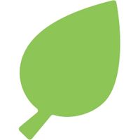 カール事務器 ミニクラフトパンチ エコ CN12114 1セット(10個)（直送品）