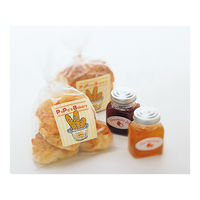 コクヨ カラーLBP&コピー用光沢紙ラベル A4 20枚入 LBP-G6900 1袋(20シート入)