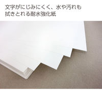 コクヨ カラーレーザー&カラーコピー用紙 耐水強化紙 A4 LBP-WP315 1袋(200枚入)