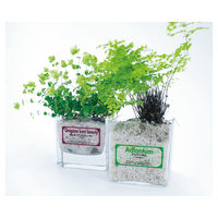 コクヨ カラーLBP&コピー用フィルムラベル 水に強いタイ LBP-OD101T-10 1袋(10シート入)