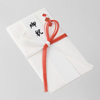 デザインフィル 金封421 中金封 お祝 25421006 1セット(2枚)