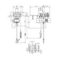 電気チェーンブロック ER2M 電気トロリ結合式 上下2速インバータ形・横行1速インバータ形 ER2M001IHISxLC040 1台（直送品）