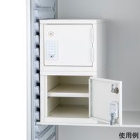 アズワン 材料キャビネット 麻薬庫 小 8-566-01 1台（直送品）
