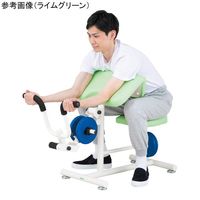 アズワン ダンベルアームカール ライトブルー DAC-PB 1台 8-447-02（直送品）