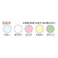 アズワン アズピュアクリーンペーパーエコノミー A4 グリーン 250枚×10袋入 2-2149-75 1箱(2500枚)（直送品）