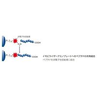 サーモフィッシャーサイエンティフィック イモビライザーアミノ プレート F96 クリア 1箱(5個×6包入) 436006 1箱(30個)（直送品）
