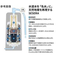 サイテックス 浄水器SESERA交換カートリッジセット 12000L耐久 SYS120 1台 67-8022-30（直送品）