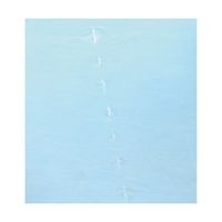 Ciメディカル リセラ プラスチックガウン(袖付・エンボス) フリーサイズ 10枚入 63-4156-76 1パック(10枚)（直送品）