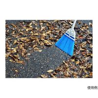 高儀 TAKAGIぬれ落ち葉も掃けるシャークホーキ小 2051105 1個 64-4066-22（直送品）