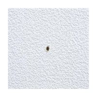 建築の友 クロスパッチ ホワイト CP-T1 1枚 63-7920-39（直送品）