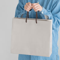 ヘッズ 無地サンドベージュペーパーバッグー2（10枚）