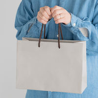 ヘッズ 無地サンドベージュペーパーバッグー3 50枚（10枚×5セット）