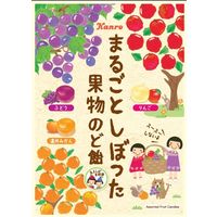 まるごとしぼった果物のど飴 80g 1セット（1袋×6） カンロ 飴 キャンディ