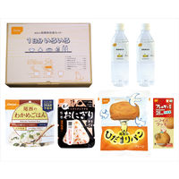 【非常食】尾西食品 長期保存食セット1日分いろいろ 1セット