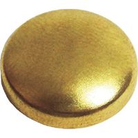ダンドリビス ビスキャップ いたずら防止キャップ16mm 真鍮(50入) Abox C-MSXBCX-50 1箱(50組) 422-9175（直送品）