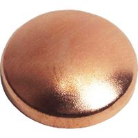 ダンドリビス ビスキャップ いたずら防止キャップ16mm 銅(50入) Abox C-MSXCCX-50 1箱(50組) 423-0796（直送品）