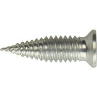 日本パワーファスニング JPF Eスクリュー 4×14 三価ユニクロ (1000本入り) E4X14 1箱(1000本) 437-9463（直送品）