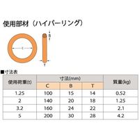 TAIYO 4本吊 ワイヤスリング 1.6t用×1m(Vベル仕様)(1015096) 4WRVHS1.6TX1 1セット(1個)（直送品）