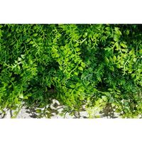 谷村実業 TASSCOM リアルグリーンフェンス コニファー TAN-997 1個 536-6978（直送品）