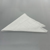 不織布三角巾 Lサイズ 救急衛生 使い捨て 防災 災害 骨折 出血 包帯 備蓄 止血帯 支持帯 非常時 避難 固定 手当て（直送品）