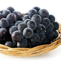 2024年お中元 アデリー 桃と広島三次ピオーネ AF-MP31 1箱（直送品）