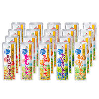 2024年お中元 ゴールドパック 凍らせておいしい国産ジュースセット FJ5-25 1箱（直送品）