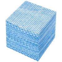 抗菌 カウンタークロス ハーフ ブルー 約30×30cm 1セット（1パック（100枚入）×5）