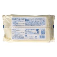 Life-do.Plus 地球おもい万能お掃除シート20枚 4589506154685 1セット(20枚×10点)（直送品）