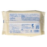 Life-do.Plus 地球おもいフローリング用ウェットシート20枚 4589506154708 1セット(20枚×10点)（直送品）