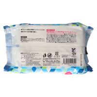 Life-do.Plus リファインアルコール 4589506155392 1セット(1個(60枚)×12)