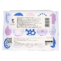 丸住製紙 エミナスウェットティッシュコンパクトノンアルコールノルディック 4948258007401 1セット(40枚×8点)（直送品）