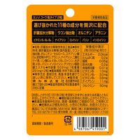興和 カンゾコーワ粒 2粒 4987067459001 1セット(2個×10点)（直送品）