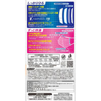 興和 三次元マスクすこし大きめLサイズホワイト30枚 4987973221921 1セット(30枚×2点)（直送品）