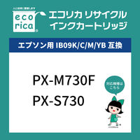 エコリカ エプソン（EPSON）用 リサイクルインク ECI-EIB09B-4P 4色パック IB09CL4B対応 1箱
