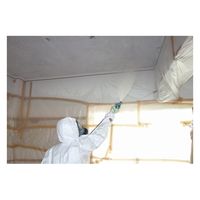 クリアライト工業 アスキャッチCC アスベスト総合処理剤 放散等級F☆☆☆☆ 国土交通大臣認定品 J2641 1缶（直送品）