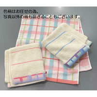 日繊商工 粗品の熨斗付き チェックやボーダー基調のタオル【名刺ポケット付袋入】 ACFT-sosina-100 1箱(100枚入)（直送品）