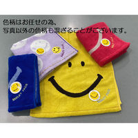 日繊商工 御年賀熨斗付き スマイル柄のフェイスタオル【名刺ポケット付袋入】 SMFT-onenga-100 1箱(100枚入)（直送品）