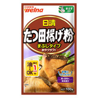 日清 たつ田揚げ粉 まぶしタイプ 100g 1セット（1個×3）日清製粉ウェルナ から揚げ粉