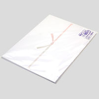 ササガワ OA対応のし紙(熨斗紙) A4判 五本結切 京 のし無し 2-516 1冊(100枚)