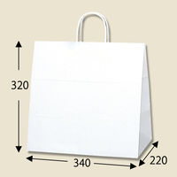 シモジマ 25チャームバッグ 34-1(底入) 晒白無地 003269915 1袋(25枚)