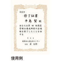 オキナ OA対応賞状用紙 SX-A4Y A4横書 1袋（直送品）