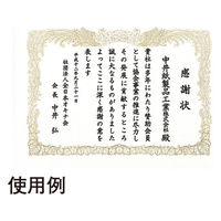 オキナ OA対応賞状用紙 SX-B5 B5縦書 1袋