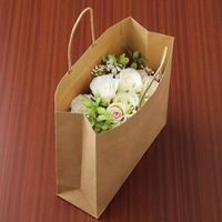 シモジマ スムースバッグ Sー100 未晒無地 003155602 1袋(25枚)