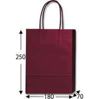 シモジマ PBスムースバッグ Sー1 ワイン(MT) 003136308 1袋(10枚)